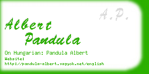 albert pandula business card